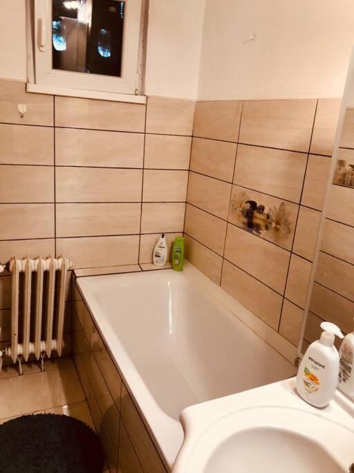 Nice Apt Near Spitalul Judetean, All You Need Lr14 Timisoara Exterior foto