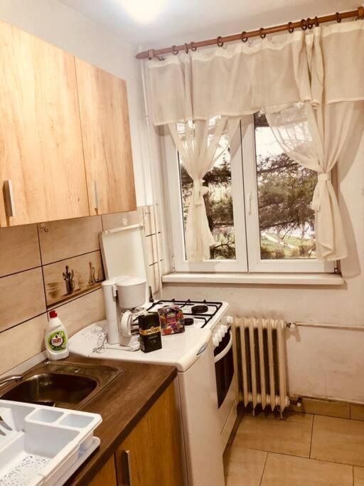 Nice Apt Near Spitalul Judetean, All You Need Lr14 Timisoara Exterior foto