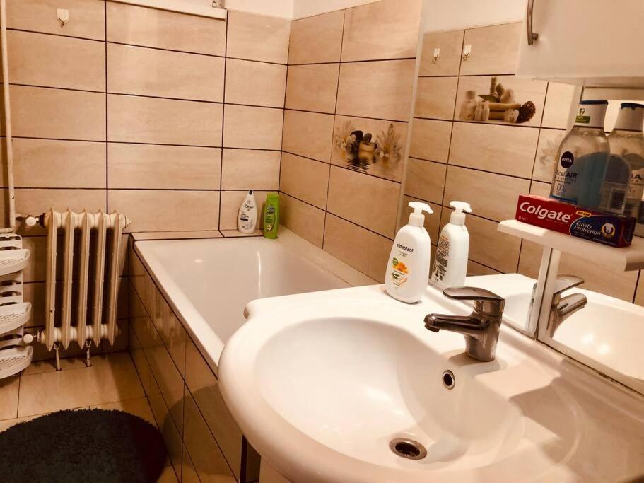 Nice Apt Near Spitalul Judetean, All You Need Lr14 Timisoara Exterior foto
