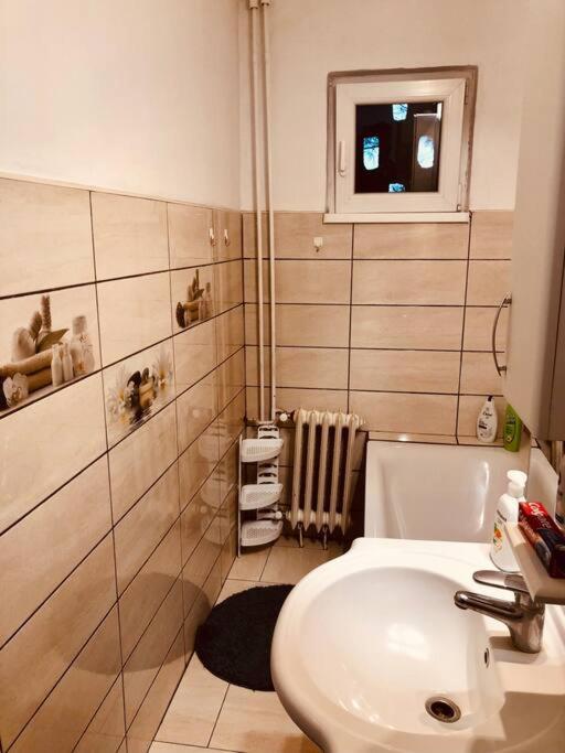 Nice Apt Near Spitalul Judetean, All You Need Lr14 Timisoara Exterior foto