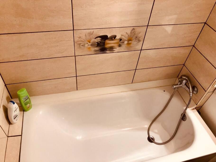 Nice Apt Near Spitalul Judetean, All You Need Lr14 Timisoara Exterior foto